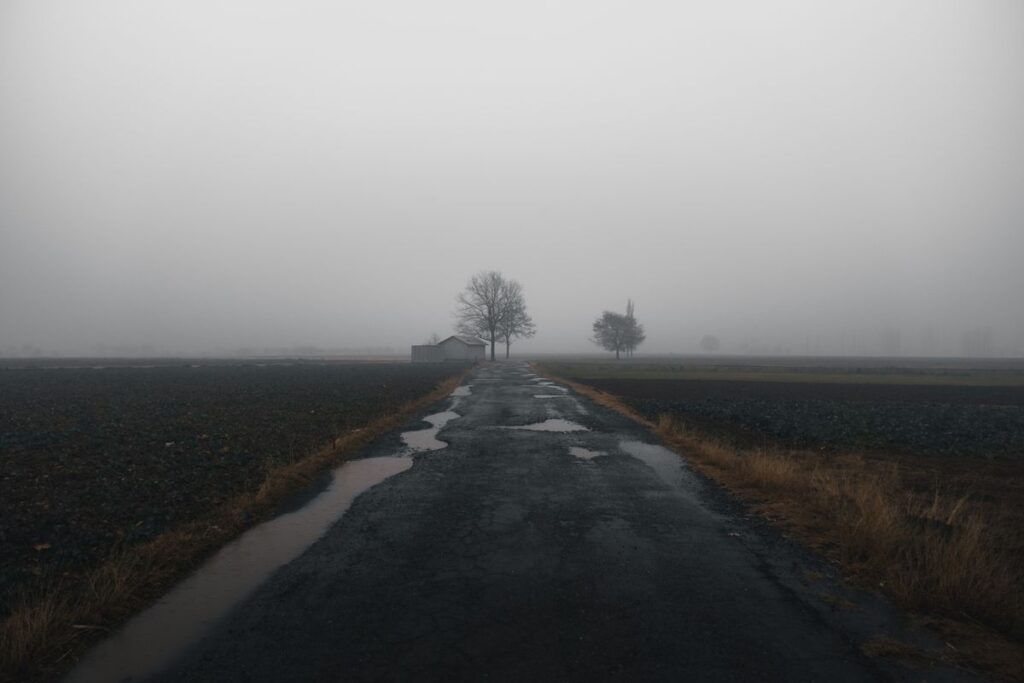 Rough, wet country road in fog